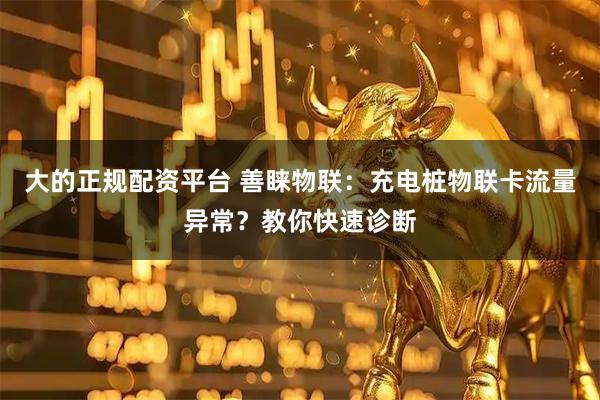 大的正规配资平台 善睐物联：充电桩物联卡流量异常？教你快速诊断